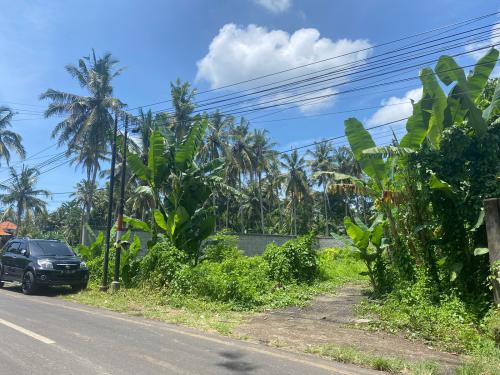 Survey Tim Arsitek Bali ke Klien Ibu Mieke di Sibang Gede