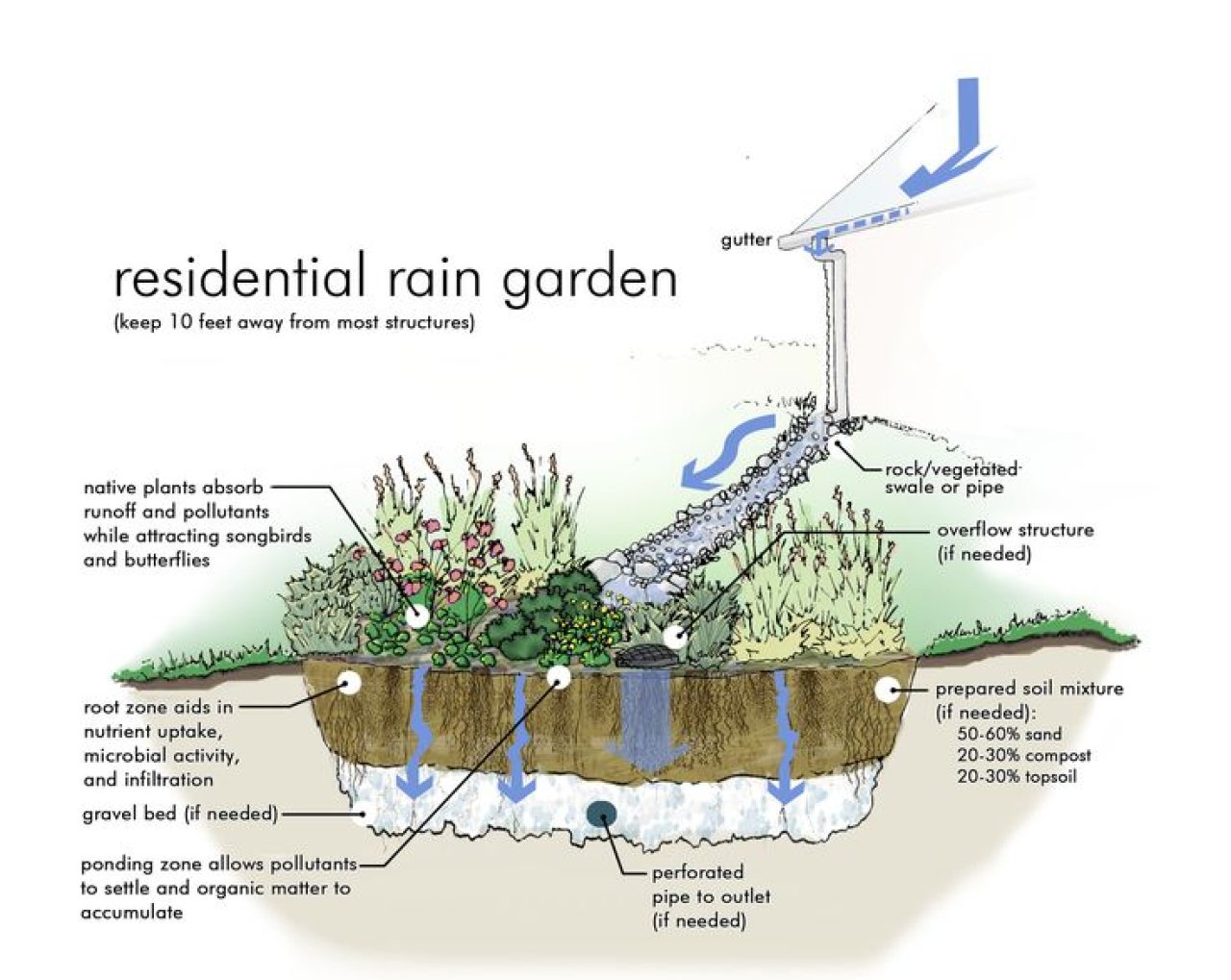 Struktur Rain Garden